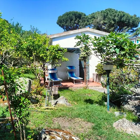 - Goelba Villa