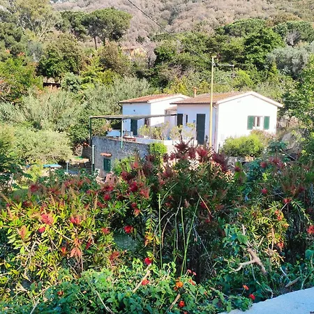 Villa - Goelba
