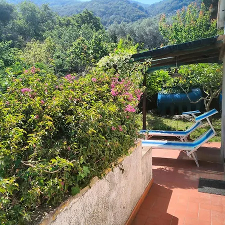 - Goelba * SantʼAndrea