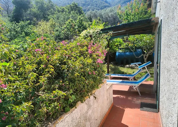 - Goelba * SantʼAndrea